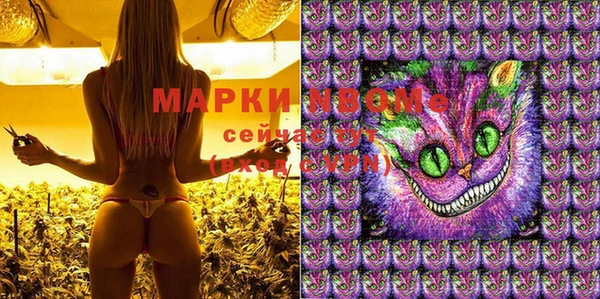 круглые Аркадак