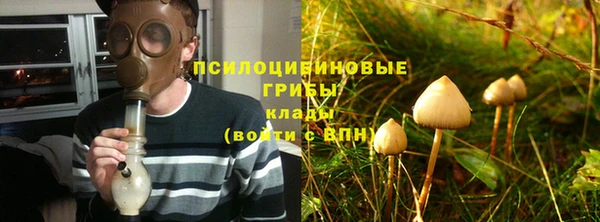 Альфа ПВП Арсеньев