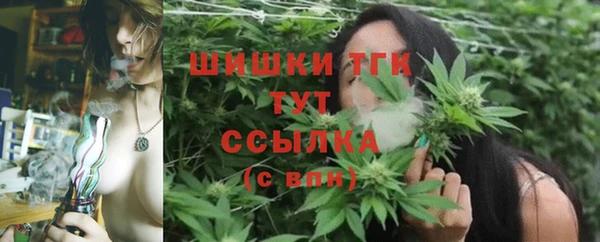 винт Армянск