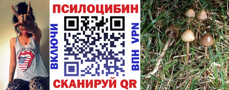 Галлюциногенные грибы прущие грибы  Чёрмоз 
